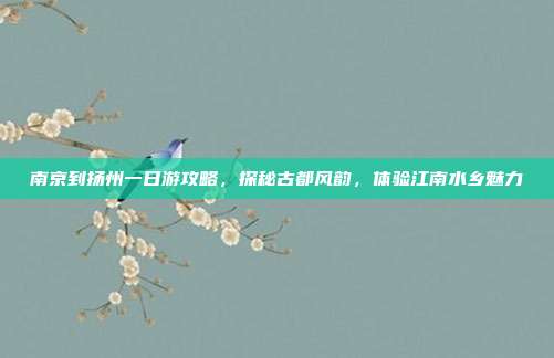 南京到扬州一日游攻略，探秘古都风韵，体验江南水乡魅力