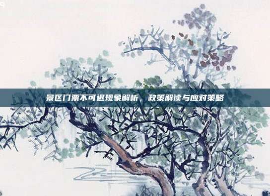 景区门票不可退现象解析，政策解读与应对策略