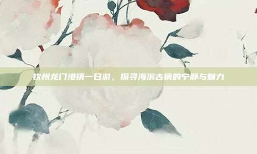 钦州龙门港镇一日游，探寻海滨古镇的宁静与魅力