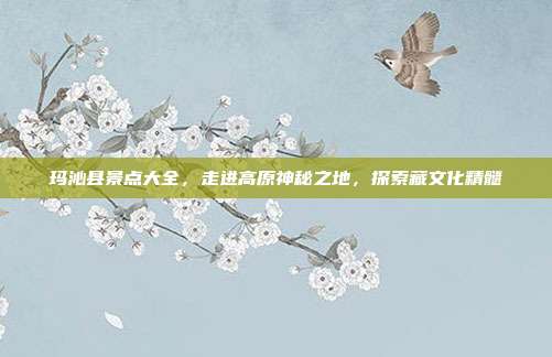 玛沁县景点大全，走进高原神秘之地，探索藏文化精髓