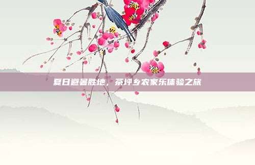 夏日避暑胜地，茶坪乡农家乐体验之旅