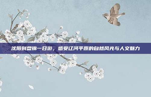 沈阳到盘锦一日游，感受辽河平原的自然风光与人文魅力