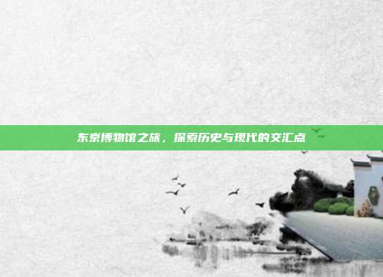 东京博物馆之旅，探索历史与现代的交汇点
