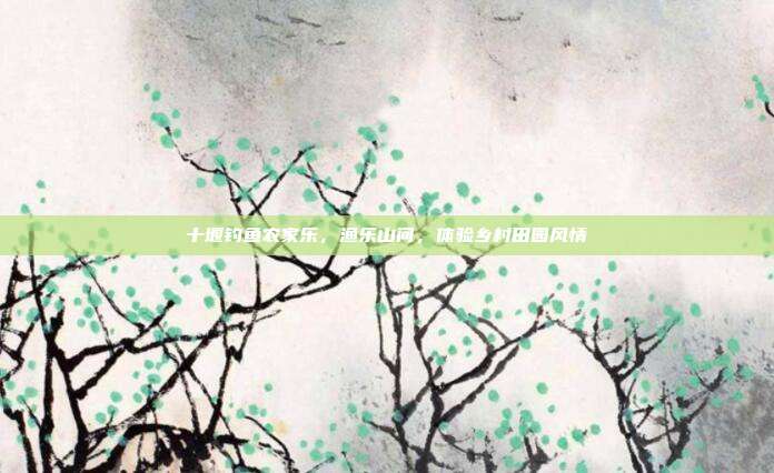 十堰钓鱼农家乐，渔乐山间，体验乡村田园风情