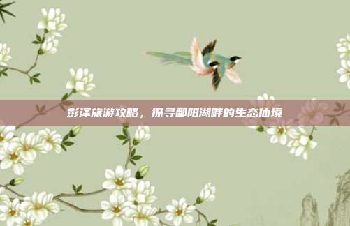 彭泽旅游攻略，探寻鄱阳湖畔的生态仙境