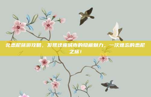 北悉尼旅游攻略，发现这座城市的隐藏魅力，一次难忘的悉尼之旅！