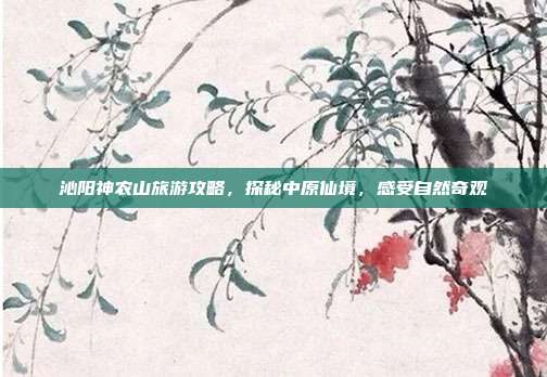 沁阳神农山旅游攻略，探秘中原仙境，感受自然奇观