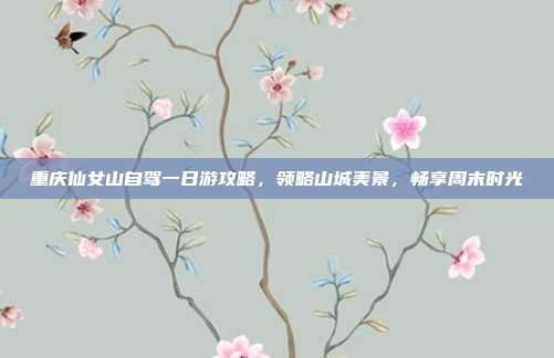 重庆仙女山自驾一日游攻略，领略山城美景，畅享周末时光