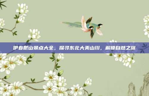 伊春爬山景点大全，探寻东北大美山川，解锁自然之旅