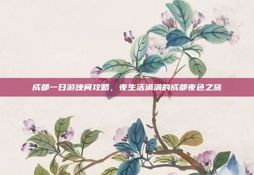 成都一日游晚间攻略，夜生活满满的成都夜色之旅