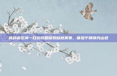 铁岭莲花湖一日游攻略探索自然美景，体验宁静湖光山色