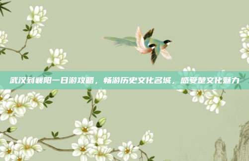 武汉到襄阳一日游攻略，畅游历史文化名城，感受楚文化魅力