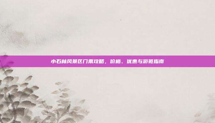 小石林风景区门票攻略，价格、优惠与游览指南