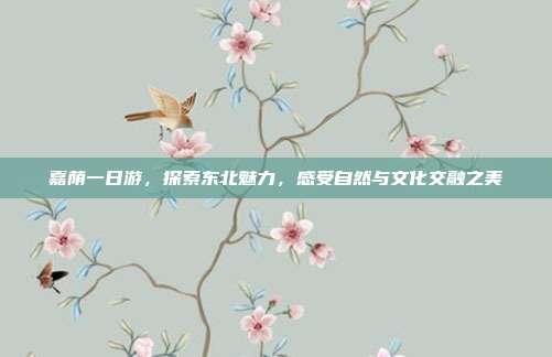 嘉荫一日游，探索东北魅力，感受自然与文化交融之美