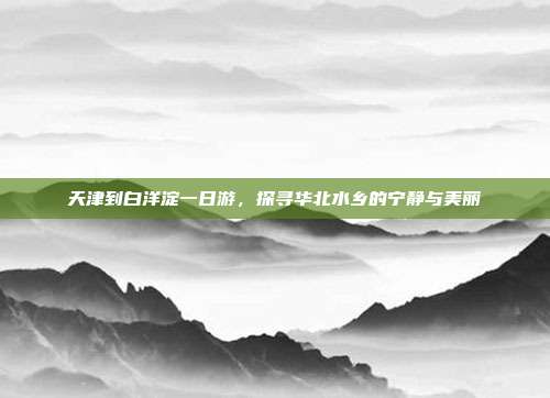 天津到白洋淀一日游，探寻华北水乡的宁静与美丽