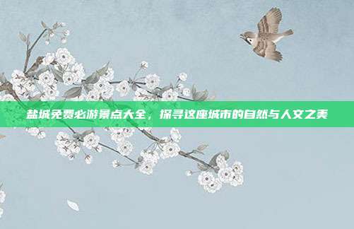 盐城免费必游景点大全，探寻这座城市的自然与人文之美