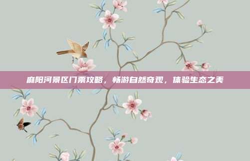 麻阳河景区门票攻略，畅游自然奇观，体验生态之美