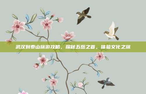 武汉到泰山旅游攻略，探秘五岳之首，体验文化之旅