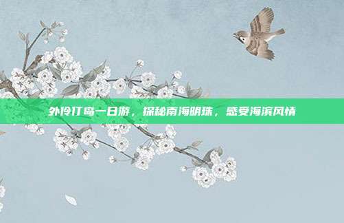 外伶仃岛一日游，探秘南海明珠，感受海滨风情