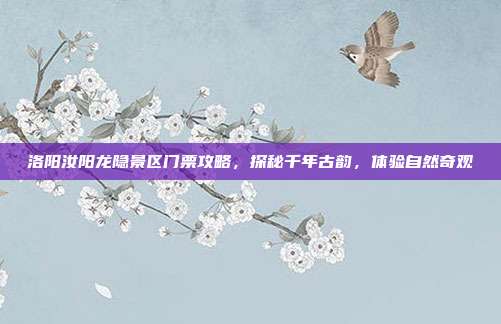 洛阳汝阳龙隐景区门票攻略，探秘千年古韵，体验自然奇观