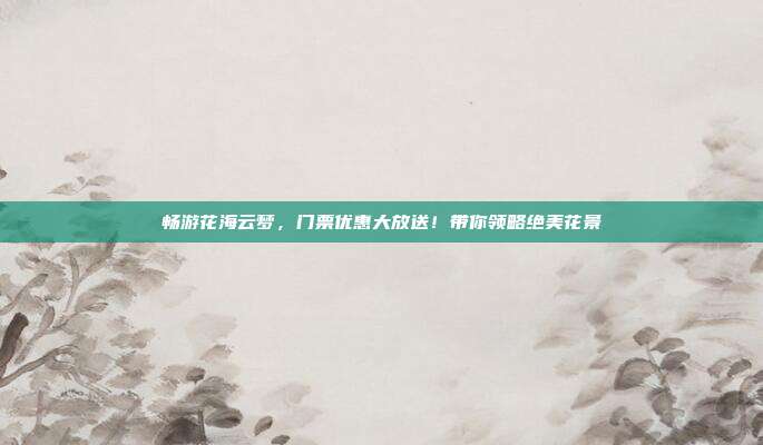 畅游花海云梦，门票优惠大放送！带你领略绝美花景