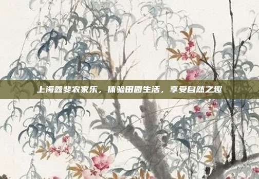 上海鑫斐农家乐，体验田园生活，享受自然之趣