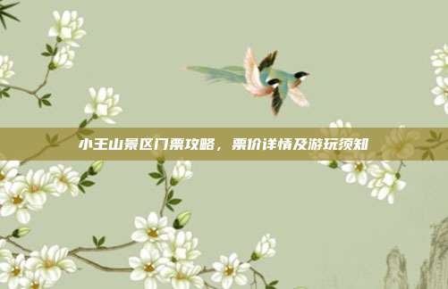小王山景区门票攻略，票价详情及游玩须知