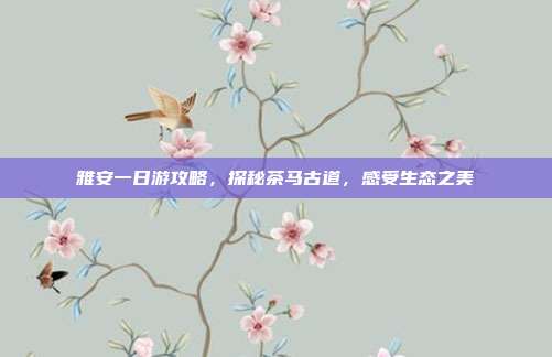 雅安一日游攻略，探秘茶马古道，感受生态之美