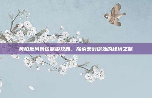 黄柏塬风景区旅游攻略，探索秦岭深处的秘境之旅