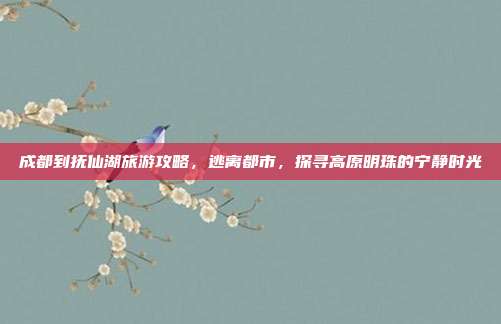 成都到抚仙湖旅游攻略，逃离都市，探寻高原明珠的宁静时光