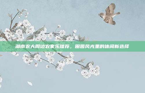 湖南农大周边农家乐推荐，田园风光里的休闲新选择
