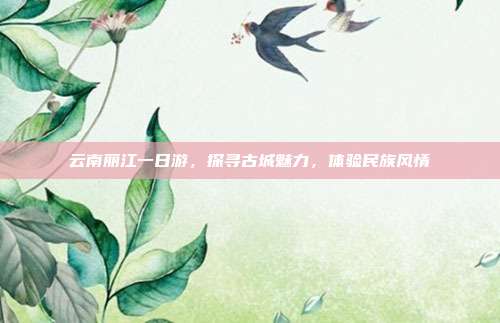 云南丽江一日游，探寻古城魅力，体验民族风情