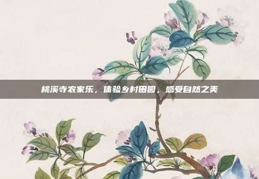 桃溪寺农家乐，体验乡村田园，感受自然之美
