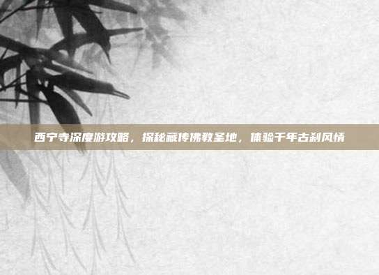 西宁寺深度游攻略，探秘藏传佛教圣地，体验千年古刹风情