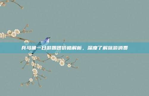 兵马俑一日游跟团价格解析，深度了解旅游消费