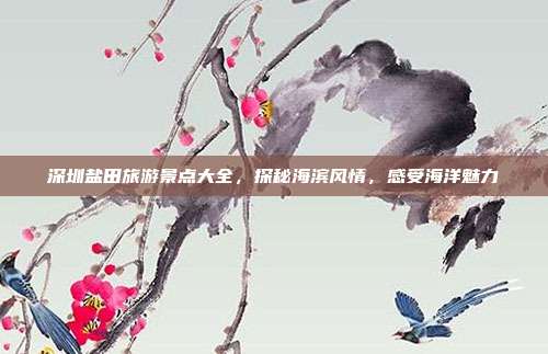 深圳盐田旅游景点大全，探秘海滨风情，感受海洋魅力