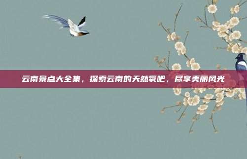 云南景点大全集，探索云南的天然氧吧，尽享美丽风光