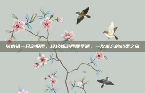 纳木错一日游报团，轻松畅游西藏圣湖，一次难忘的心灵之旅