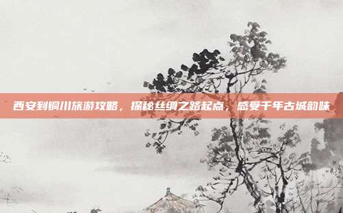 西安到铜川旅游攻略，探秘丝绸之路起点，感受千年古城韵味