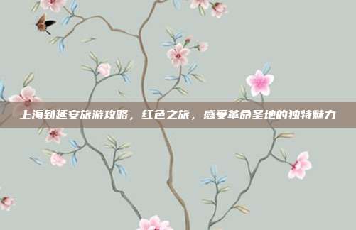 上海到延安旅游攻略，红色之旅，感受革命圣地的独特魅力