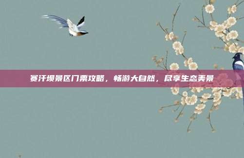 赛汗坝景区门票攻略，畅游大自然，尽享生态美景