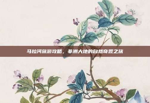 马拉河旅游攻略，非洲大地的自然奇观之旅