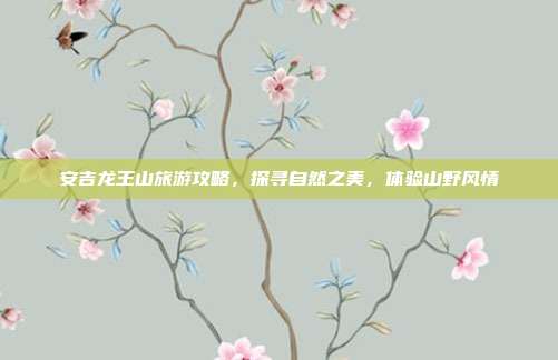 安吉龙王山旅游攻略，探寻自然之美，体验山野风情