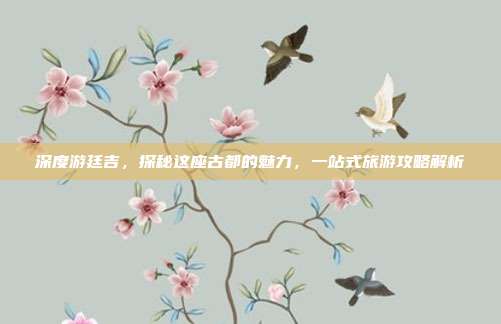 深度游廷吉，探秘这座古都的魅力，一站式旅游攻略解析