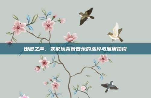 田园之声，农家乐背景音乐的选择与应用指南
