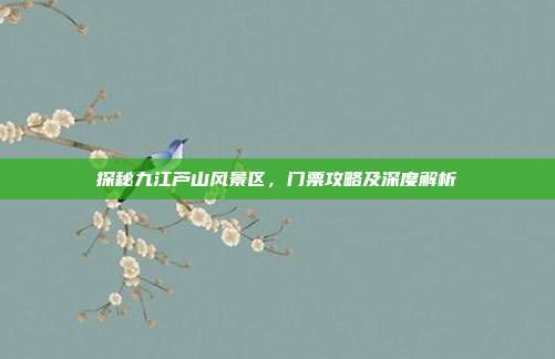 探秘九江芦山风景区，门票攻略及深度解析