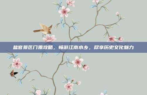 盐官景区门票攻略，畅游江南水乡，尽享历史文化魅力