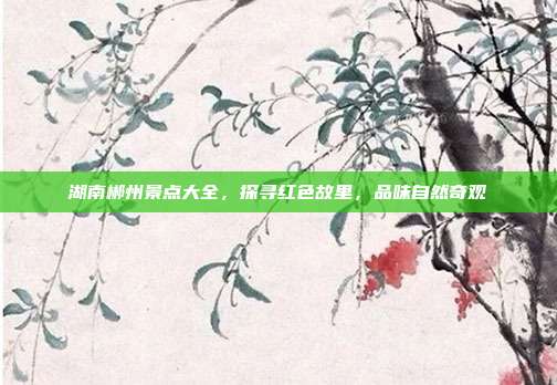 湖南郴州景点大全，探寻红色故里，品味自然奇观