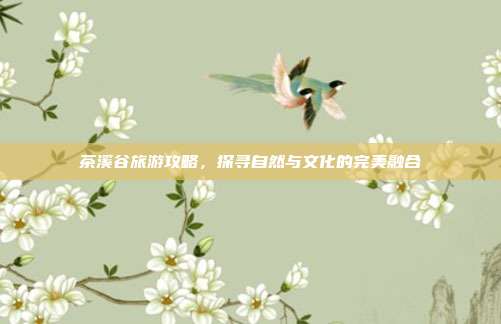 茶溪谷旅游攻略，探寻自然与文化的完美融合