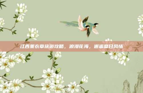 江西薰衣草旅游攻略，浪漫花海，邂逅夏日风情